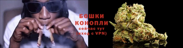 альфа пвп Бородино